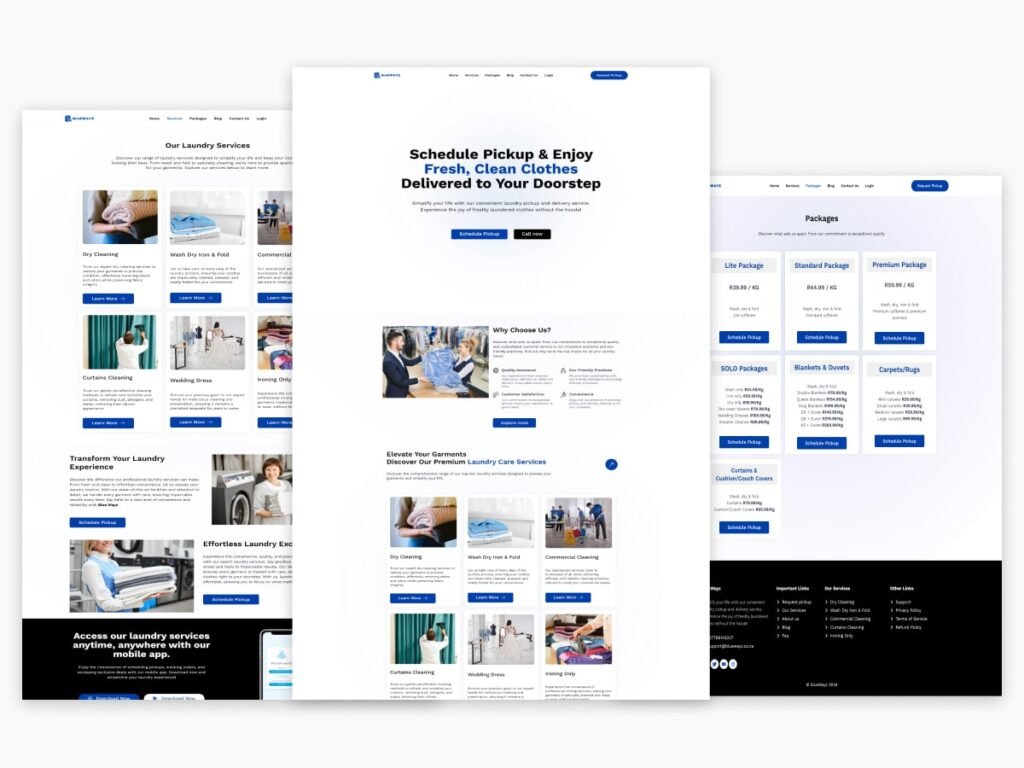 Responsive website for Bluewyz by Abdul Malik